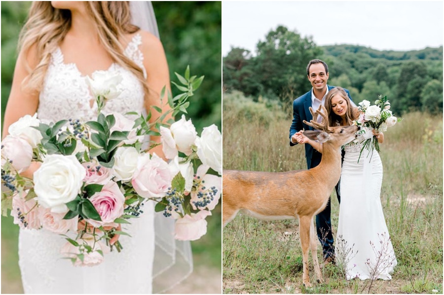 A Wedding Photoshoot To Remember Gets Interrupted By A Deer #6 | Her Beauty