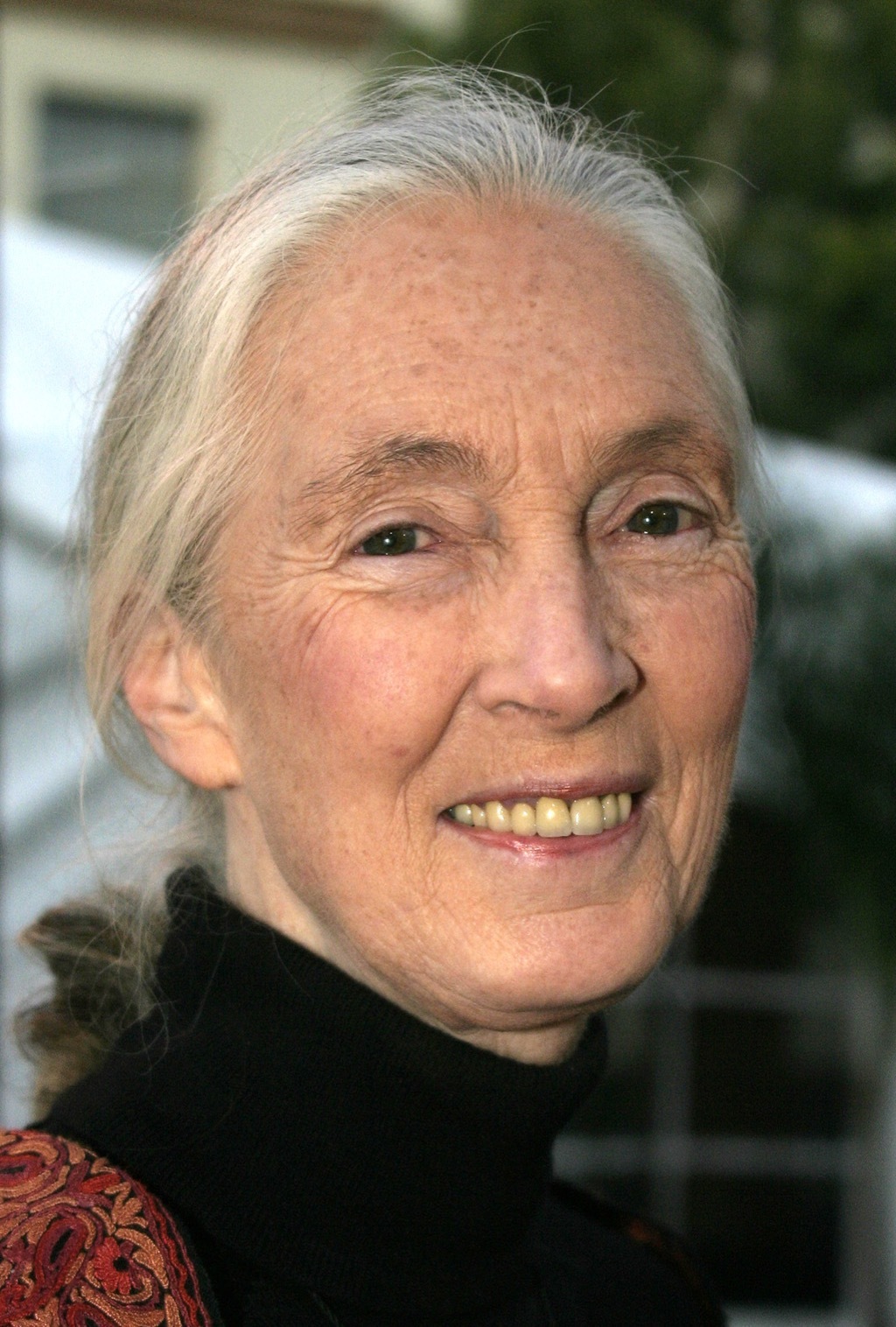 Jane Goodall, inspiring quotes