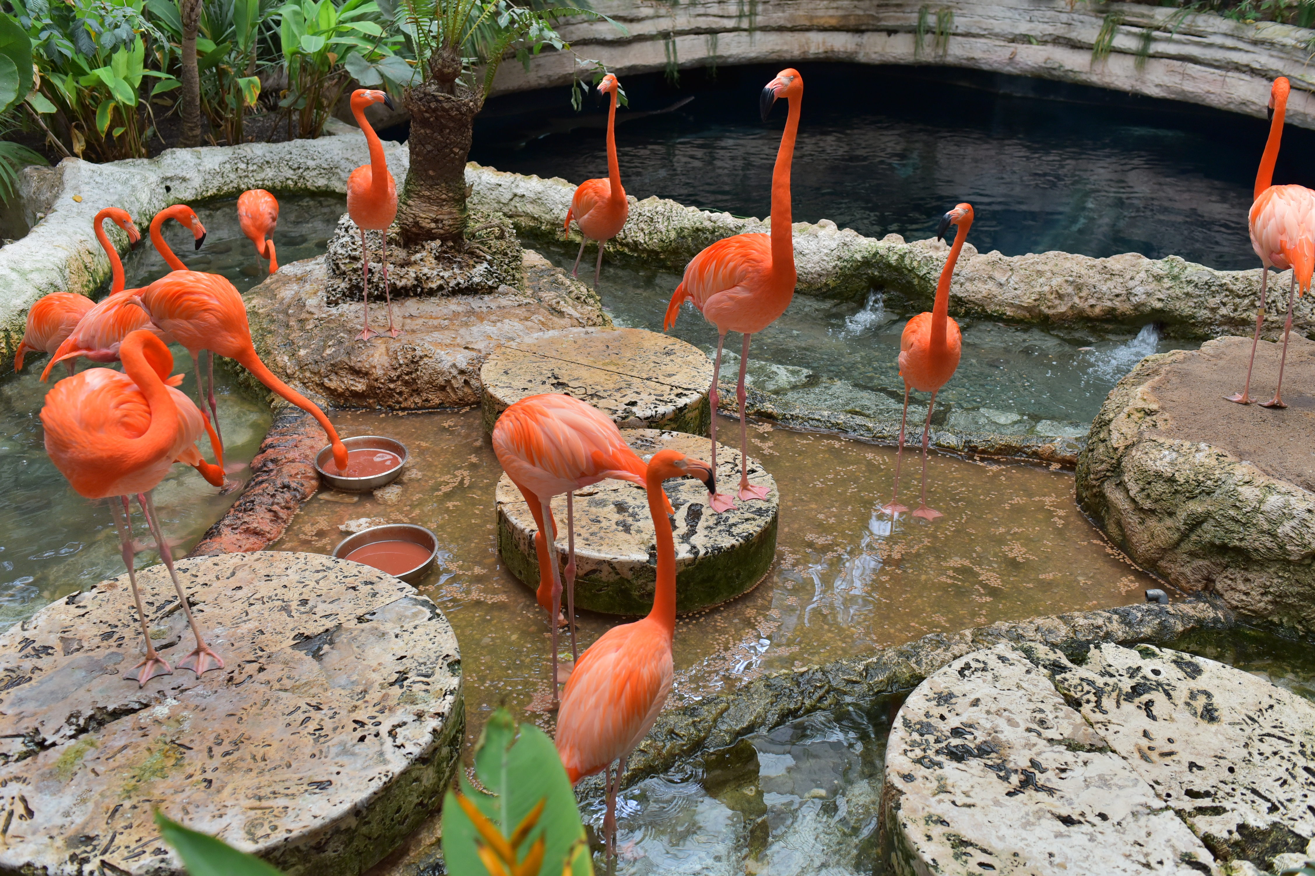 things to do in dallas - dallas world aquarium