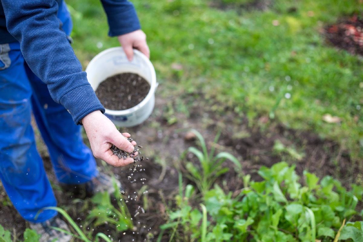 destroying your garden