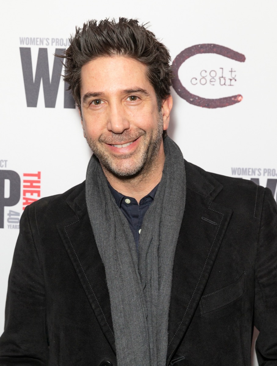 david schwimmer