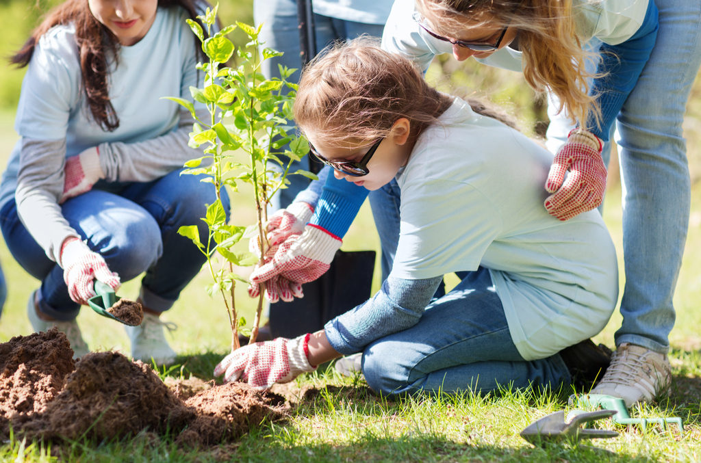 Volunteering with Kids Parenting