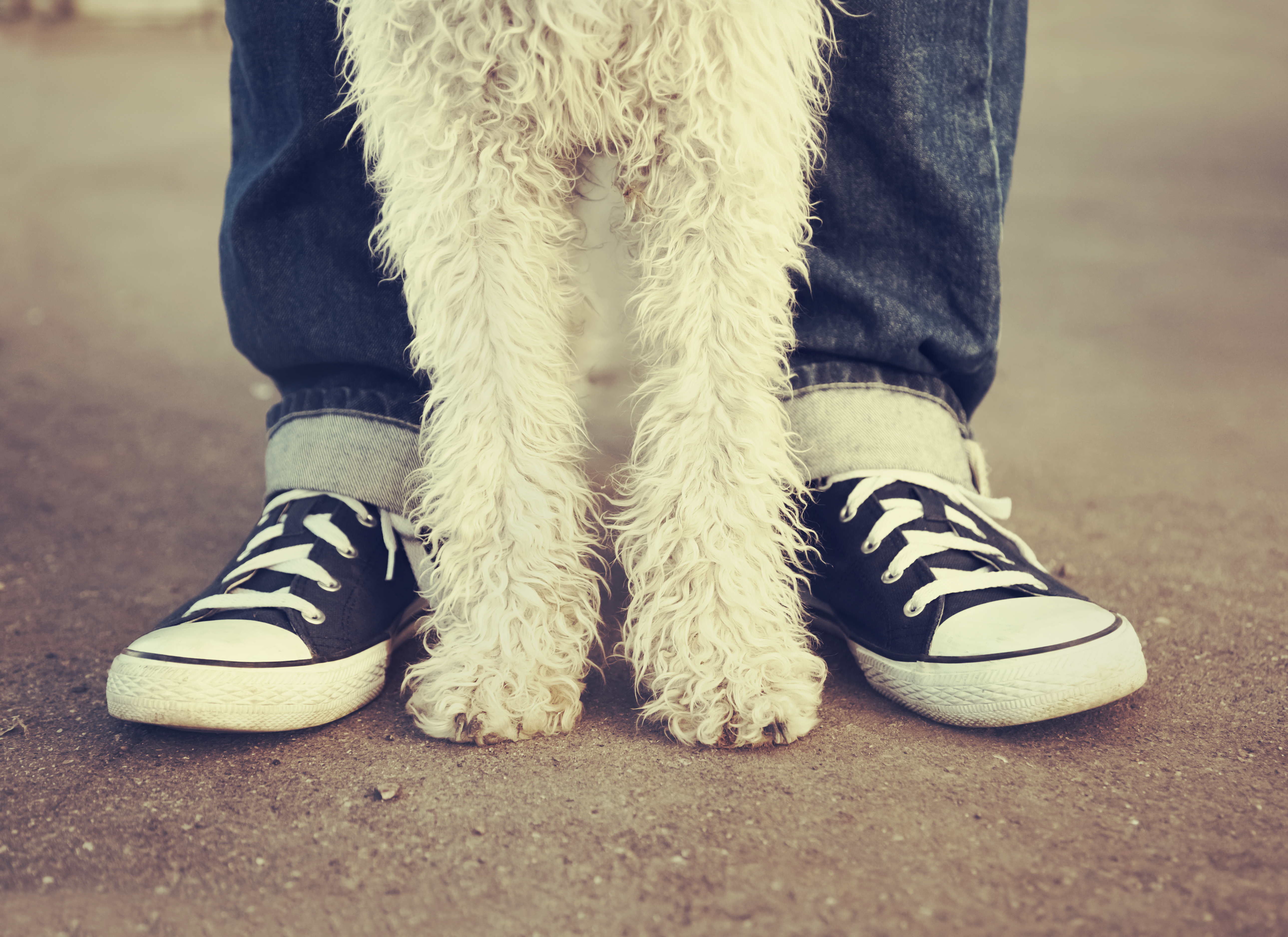 close up of young hipster with his new girl puppy