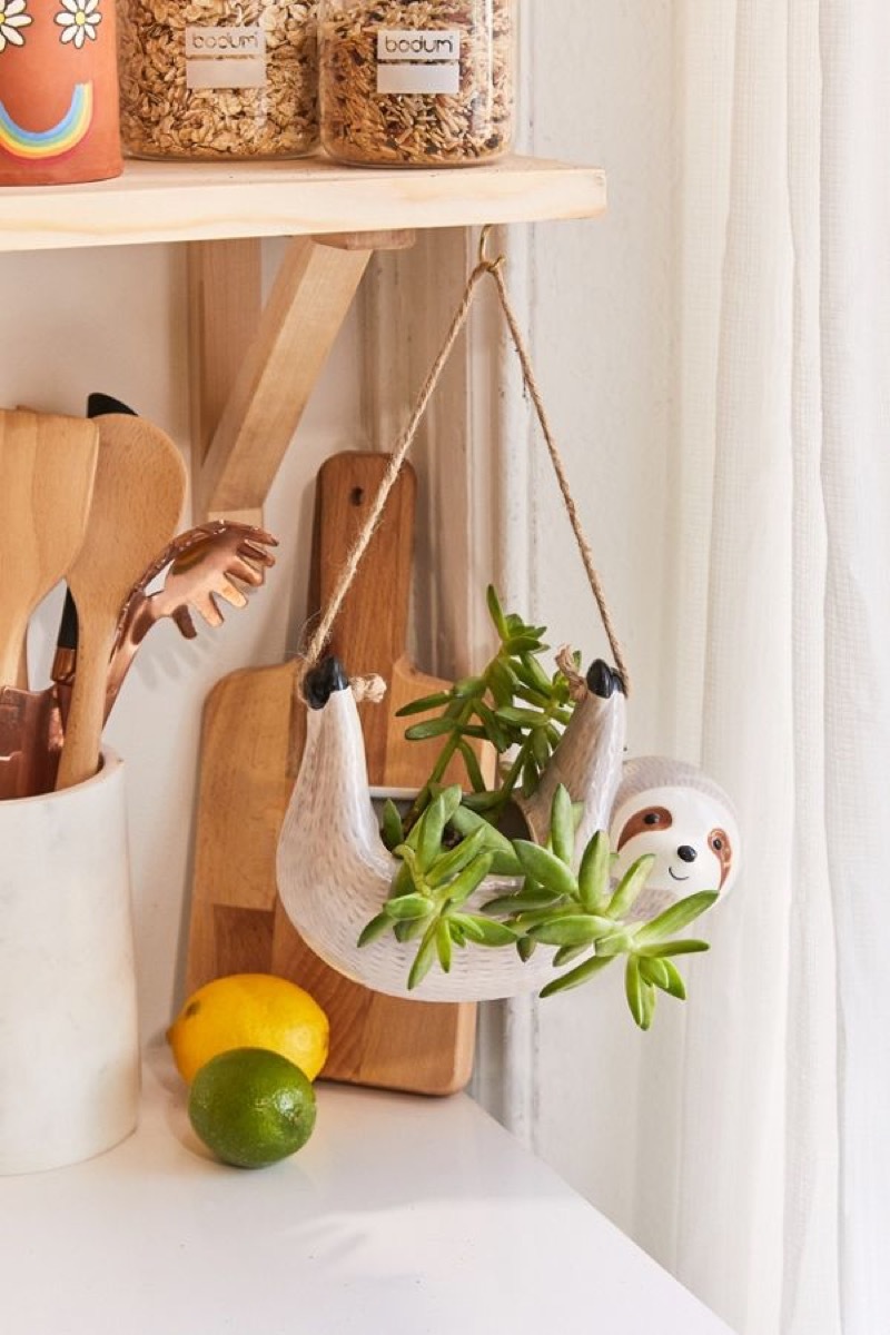 sloth hanging planter