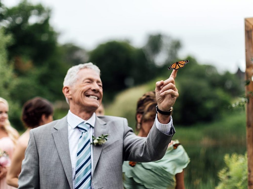 butterflies released at wedding