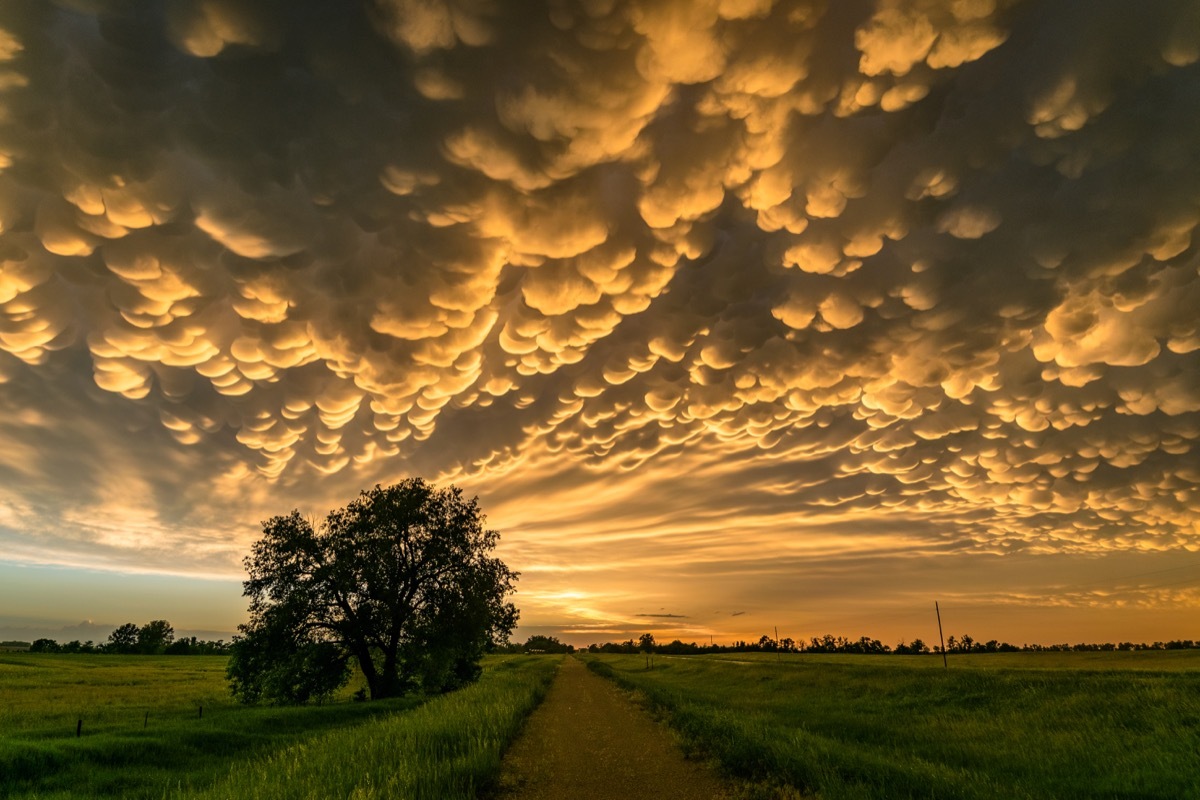 Mammatus Clouds nebraska photos of rare events