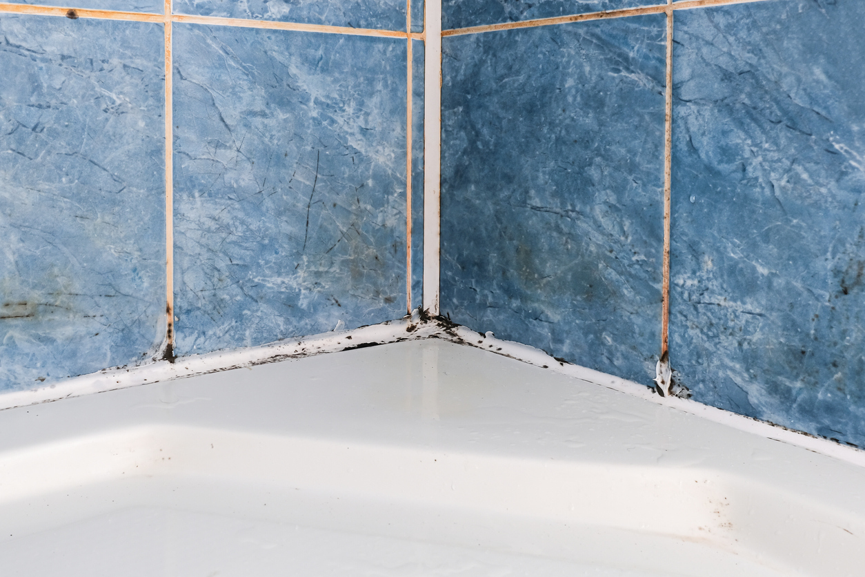 Mold fungus and rust growing in tile joints in damp poorly ventilated bathroom with high humidity, wtness, moisture and dampness problem in bath areas and shower.